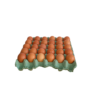 Huevos Terra premium
