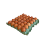 Huevos Terra premium