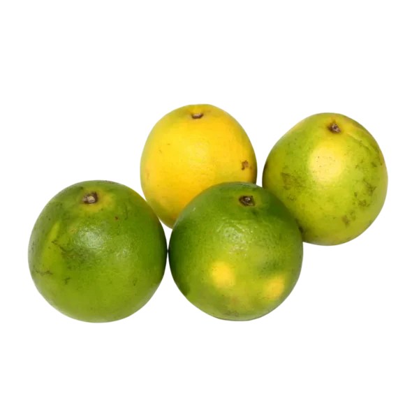 Naranja Valenciana 500gr