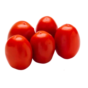 tomate san Marzano Terra Premium Market