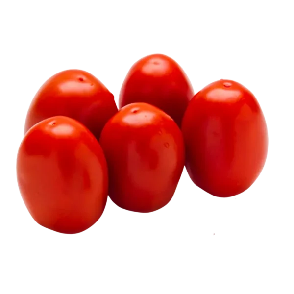 tomate san Marzano Terra Premium Market