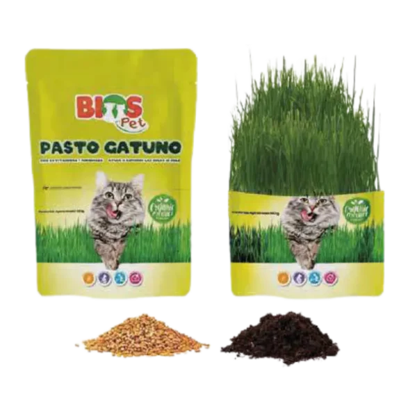 Pasto para Gato